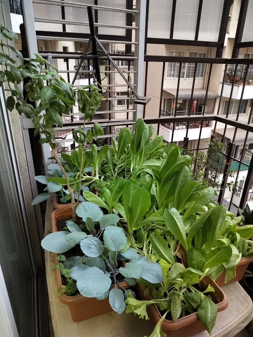 Balcony Garden Design